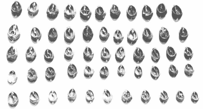 微信圖片_20250516132723.png 微信圖片_20250516132723.png