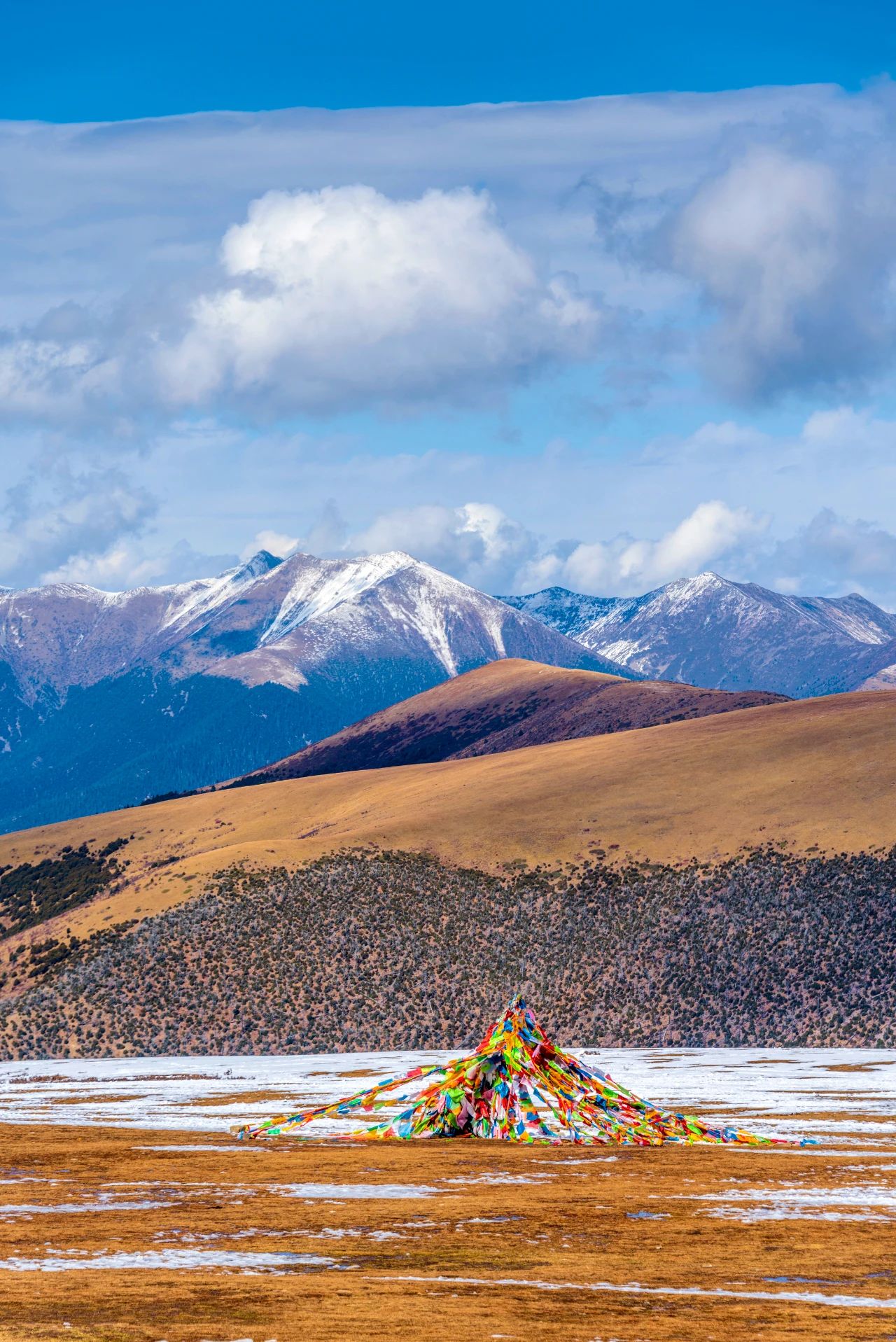 微信圖片_20231106103229.jpg 微信圖片_20231106103229.jpg