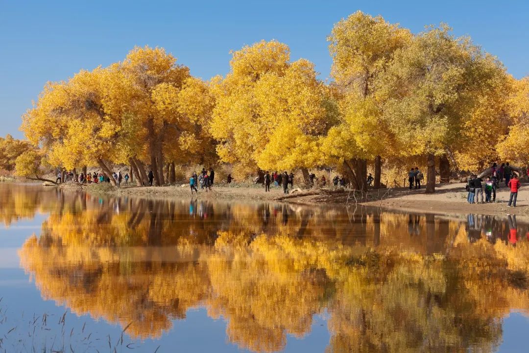 微信圖片_20240202090820.jpg 微信圖片_20240202090820.jpg