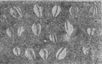 微信圖片_20250516132714.png 微信圖片_20250516132714.png