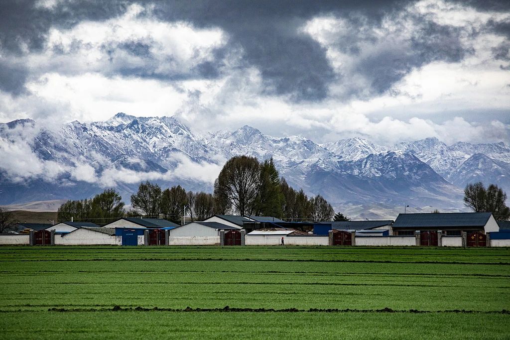 微信圖片_20231030162929.jpg 微信圖片_20231030162929.jpg