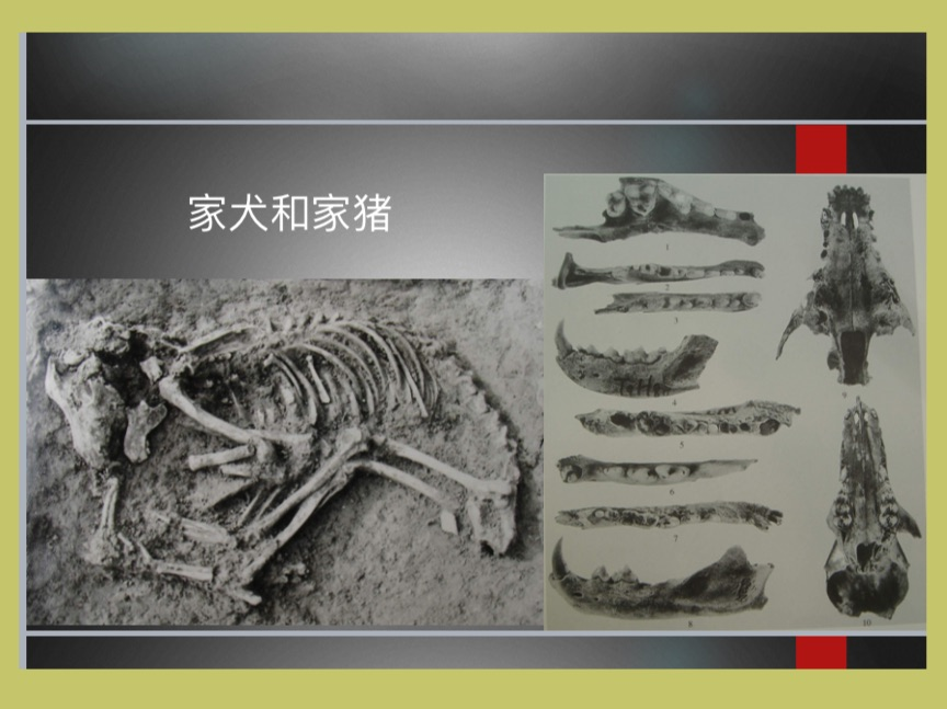 微信圖片_20240109085026.png 微信圖片_20240109085026.png