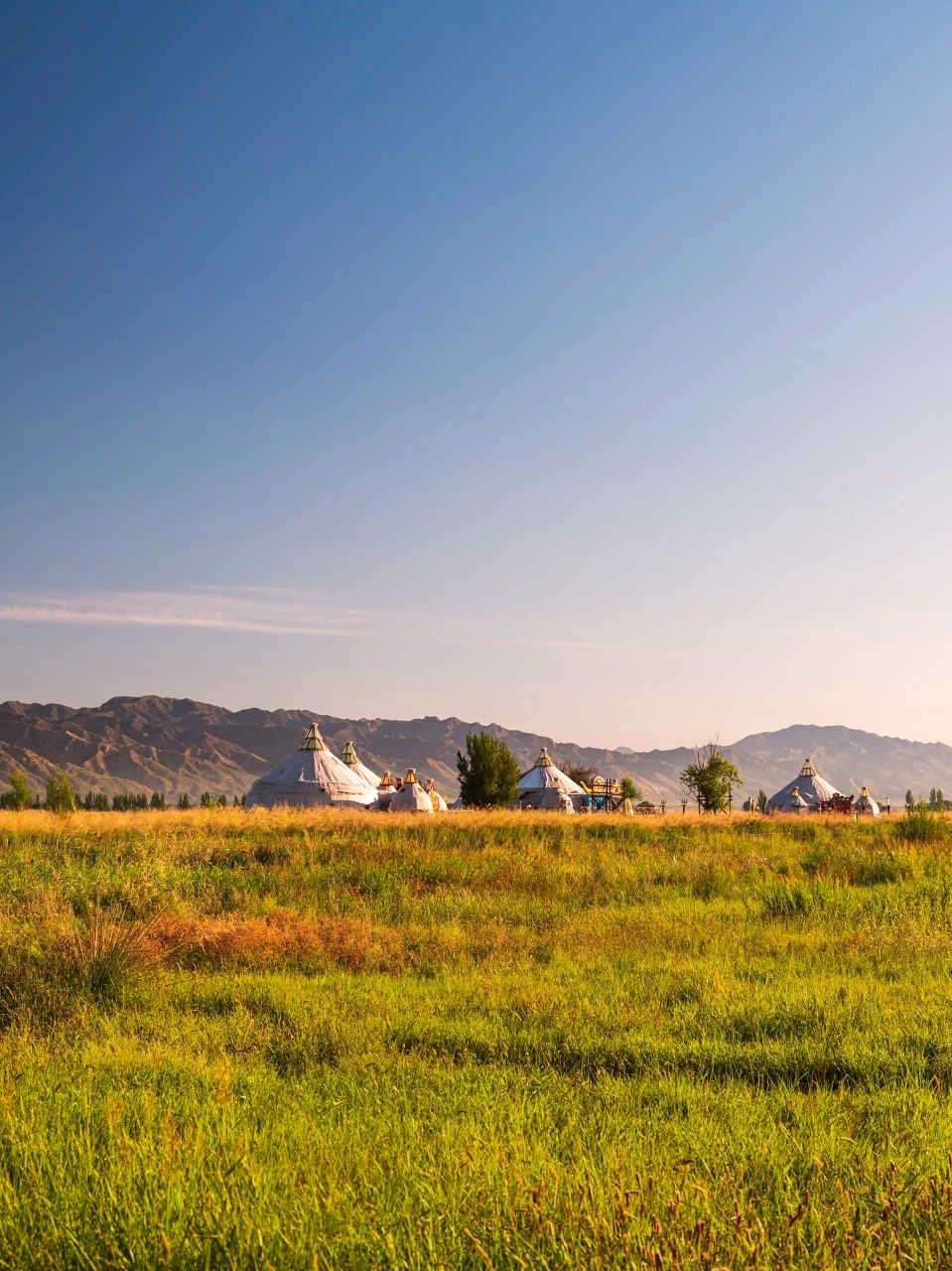 微信圖片_20231201161919.jpg 微信圖片_20231201161919.jpg