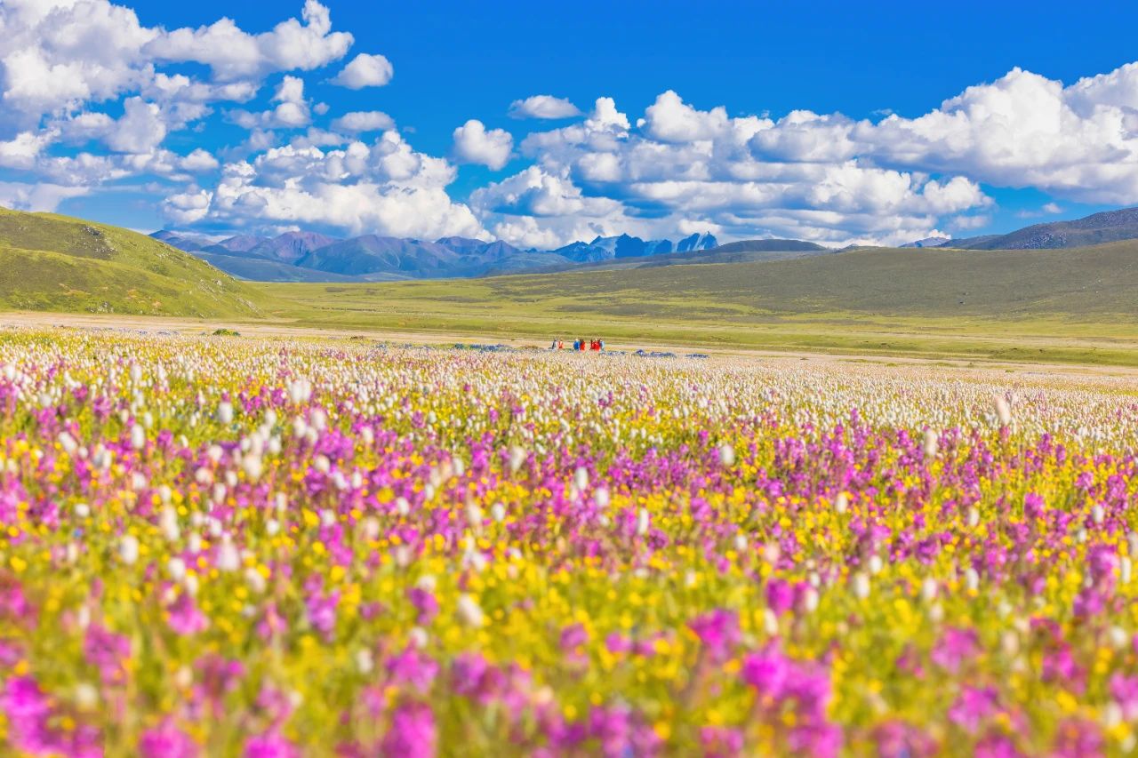 微信圖片_20231106103115.jpg 微信圖片_20231106103115.jpg