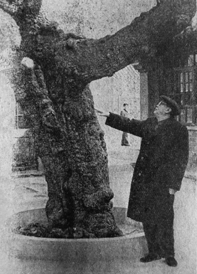 640 (4).jpg 640 (4).jpg