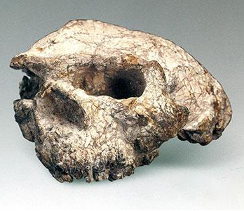 微信圖片_20250523114412.png 微信圖片_20250523114412.png