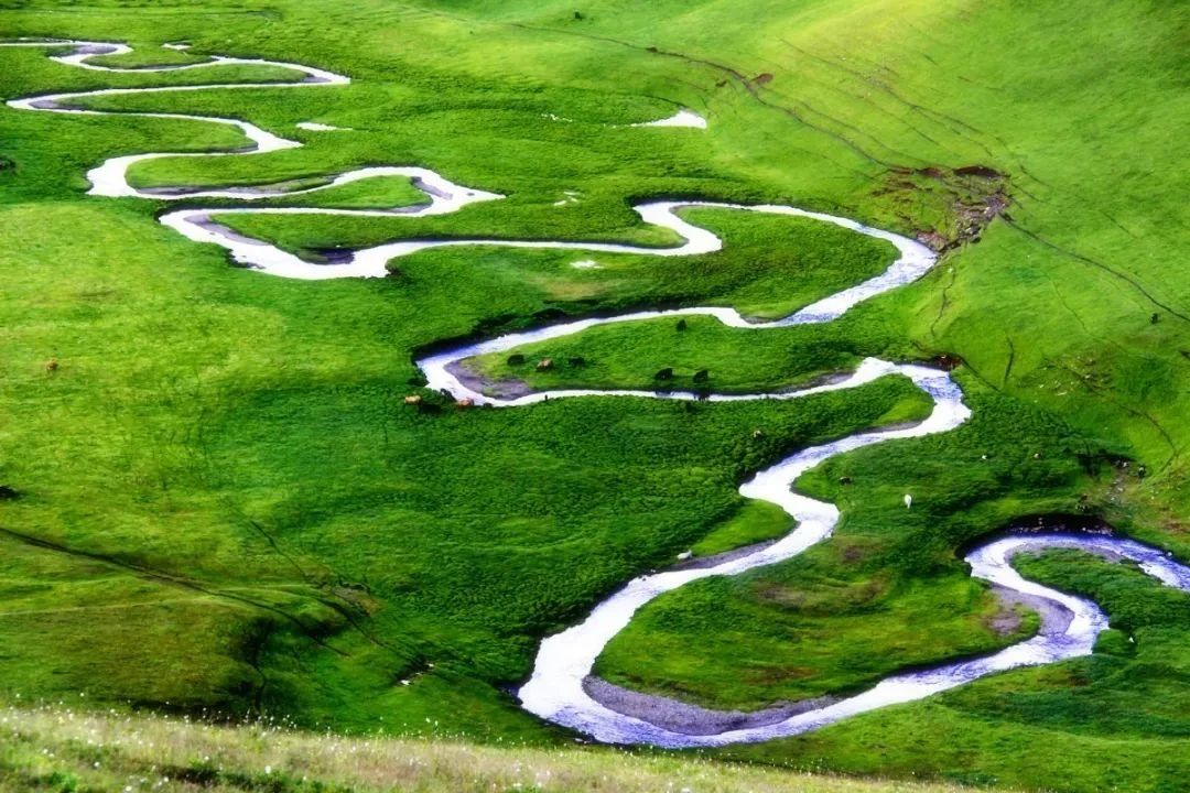 微信圖片_20231128163317.jpg 微信圖片_20231128163317.jpg