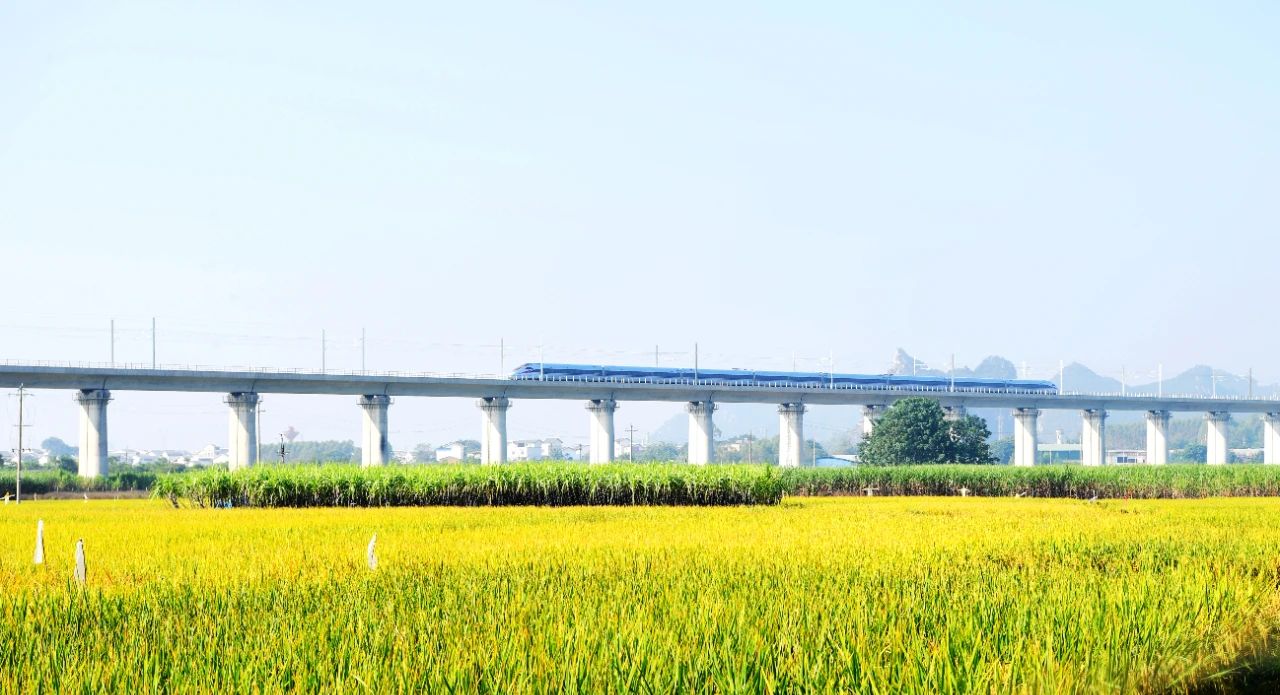 微信圖片_20231207161156.jpg 微信圖片_20231207161156.jpg