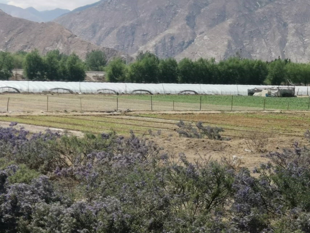 微信圖片_20240328090036.png 微信圖片_20240328090036.png