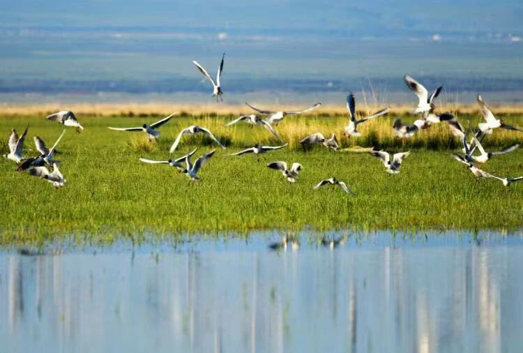 微信圖片_20231128163325.jpg 微信圖片_20231128163325.jpg