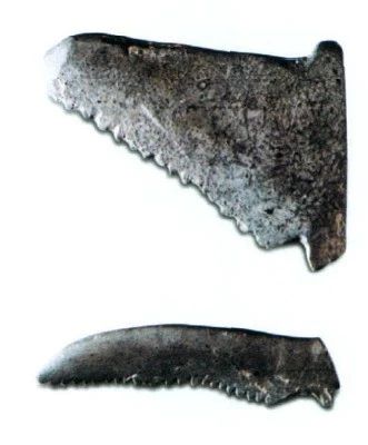 微信圖片_20240109085023.jpg 微信圖片_20240109085023.jpg